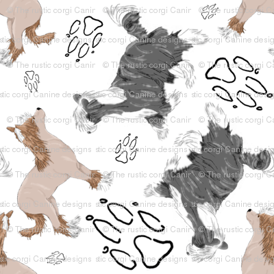 Chinese crested puppies and pawprints