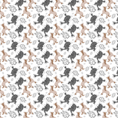 Chinese crested puppies and pawprints