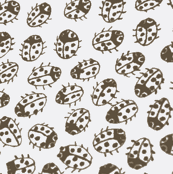 Ladybird Ball