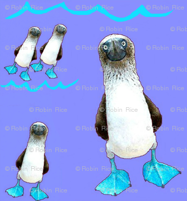 Happy Booby Dance