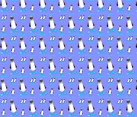 Happy Booby Dance fabric by robin_rice on Spoonflower - custom fabric