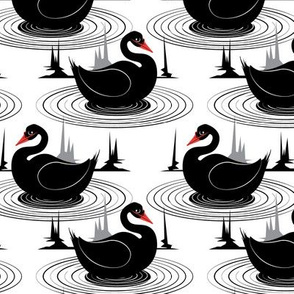 Black Swans
