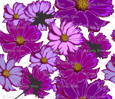 cosmos-flowers