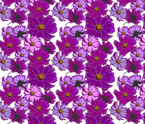 Rcosmos-flowers_shop_preview