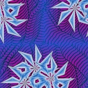 iced stars