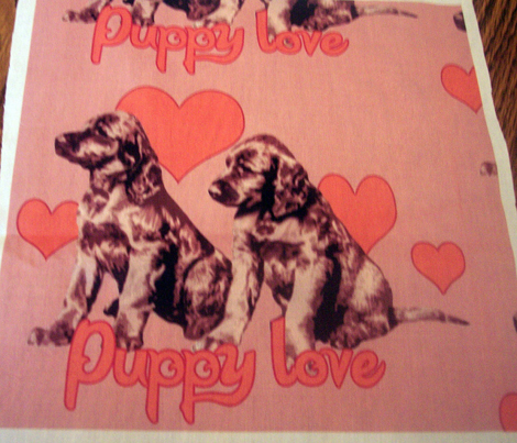 Irish Setter Puppies and Hearts
