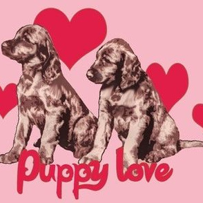 Irish Setter Puppies and Hearts