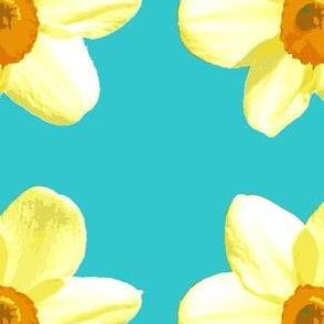 Daffodils