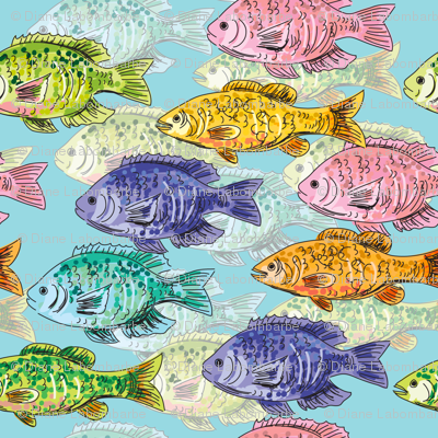 Cute Colourful School Of Fish 