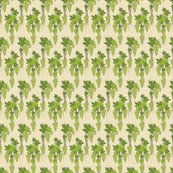 Damask_grapes_5_small_copy_shop_thumb