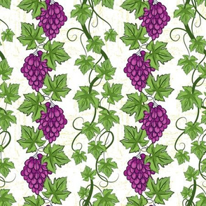 Pretty Purple Grapevines