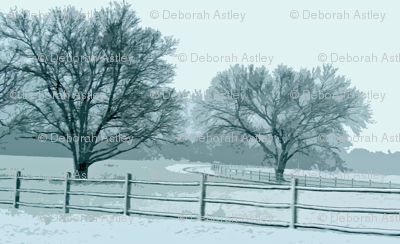 Reflections of a Snowy Day