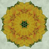 Ryellow_lily_quilt_shop_thumb