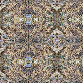 Pine Needles