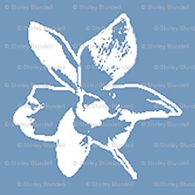 Orchid Sketch2