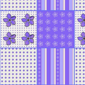 Periwinkle Coordinate