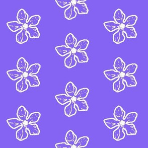 Periwinkle Sketch