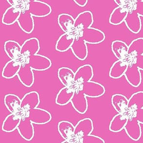 Plumeria Sketch2