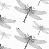 Rrgriffinflylayoutgreys_shop_thumb