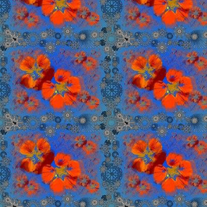 nasturttiums