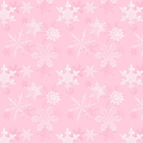 Pink Frost