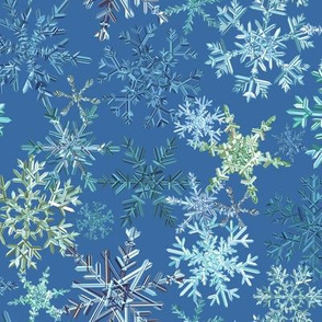 snowflakes - blue colorway