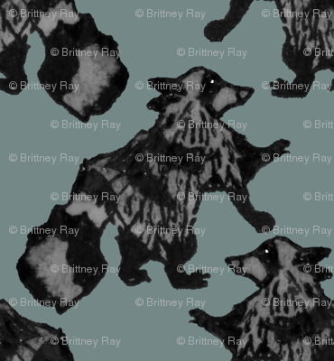 Houndstooth Raccoons 