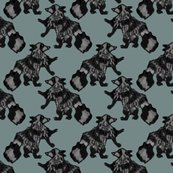 Coons_shop_thumb
