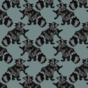Houndstooth Raccoons 