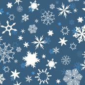 Snowflakes in moonlight