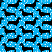 Polka Dachshunds (Blue and Black)
