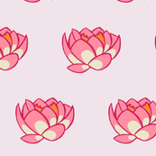 Lotus Lily