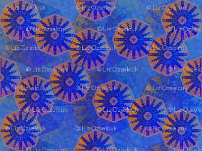 interplanetary octagons