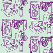 Cameras Mint Green & Grape Purple