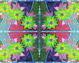 flower, flowers, fleurs, fleur, flor, flores