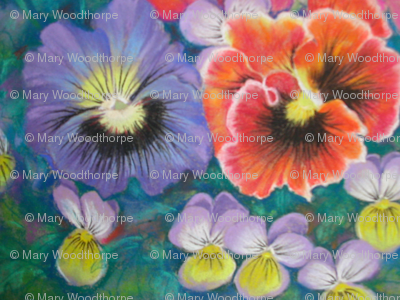 Violas and Pansies