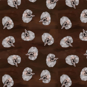 ballerinas on wooden floor