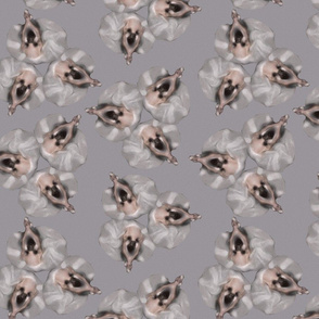ballerinas like flowers