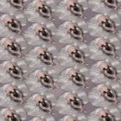 Ballerinapink-01_shop_thumb
