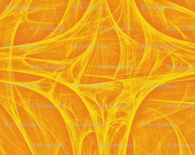 Cosmic Web 2