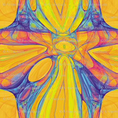 Cosmic Web 19