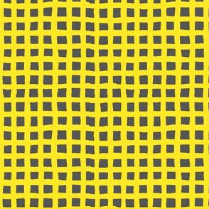 Franky Grey Squares