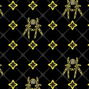 Spiders