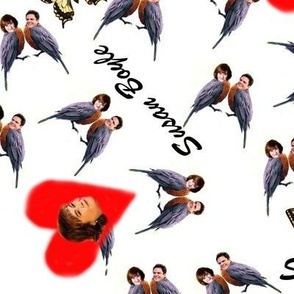 Susan Boyle and Donny Osmond Birds with Butterflies