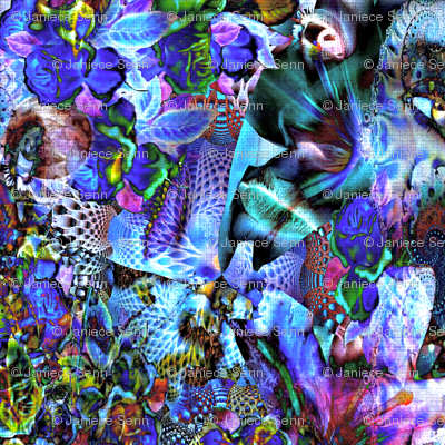 Iris and orchids