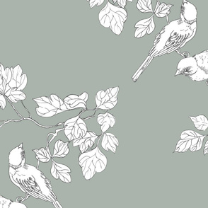 birdies bluegrey