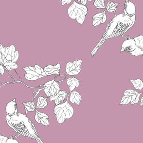 birdies damson