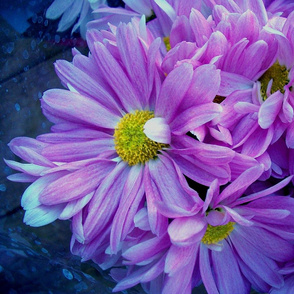 Floral Photographic
