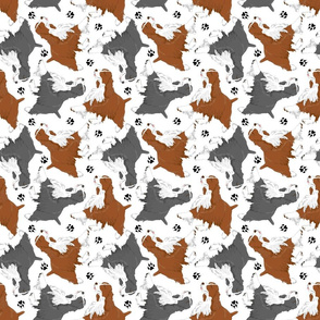 Trotting Springer Spaniels and paws - white