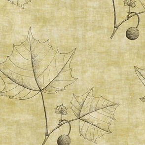 Neutral Sketched Leaves